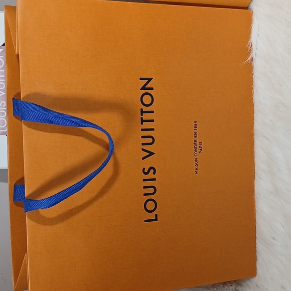Louis Vuitton Orange Bag and Box Unisex - Picture 1 of 15